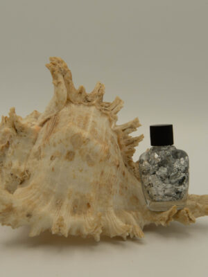 Zilver - Maryla Dienstverlening Zilver - Maryla Dienstverlening