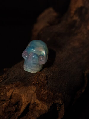 DSB_6985 Opaliet schedel