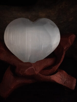 Seleniet hart (groot)