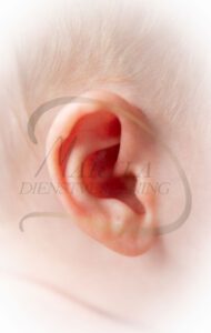 Baby newborn Maryla Dienstverlening